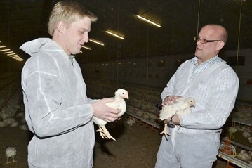 Hhnchenmster Heiner Schubert (l.) mit Ftterungsberater Thore Petersen.