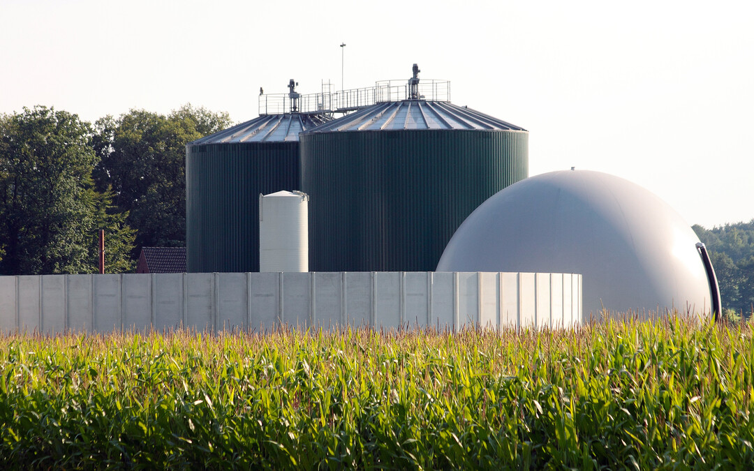 Da Glle auch in Biogasanlagen verwendet wird, wurde geprft, ob Antibiotika dort beseitigt werden knnen, um den Eintrag in die Umwelt zu verringern. Dieser Weg ist nach Darstellung der Projektbeteiligten fr wichtige antibiotische Verbindungen nicht mglich.
