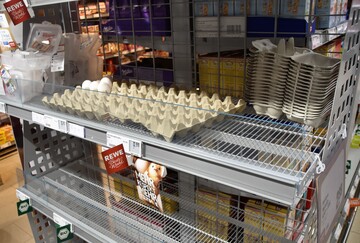 Hamsterkufe gab es auch bei Eiern. Mittlerweile gibt es aufgrund der verstrkten Nachfrage im LEH nach Fleisch und Eiern Engpsse bei Verpackungen.