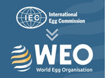 Die WEO unterstützt u.a. jedes Jahr im Oktober die Kommunikation zum World Egg Day.