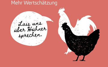 Im ko-Landbau sollen zunehmend Zweinutzungshhner als Alternative zu konventionellen Hybridzchtungen eingesetzt werden.