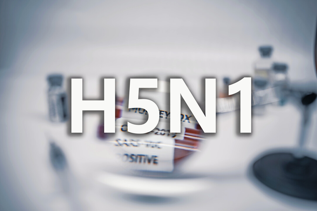 Bei einem Geflgelarbeiter in England wurde H5N1 festgestellt.