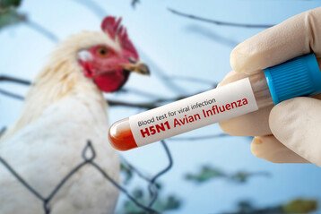 In Emsbren ist in einer Legehennenhaltung das Vogelgrippe-Virus nachgewiesen worden.