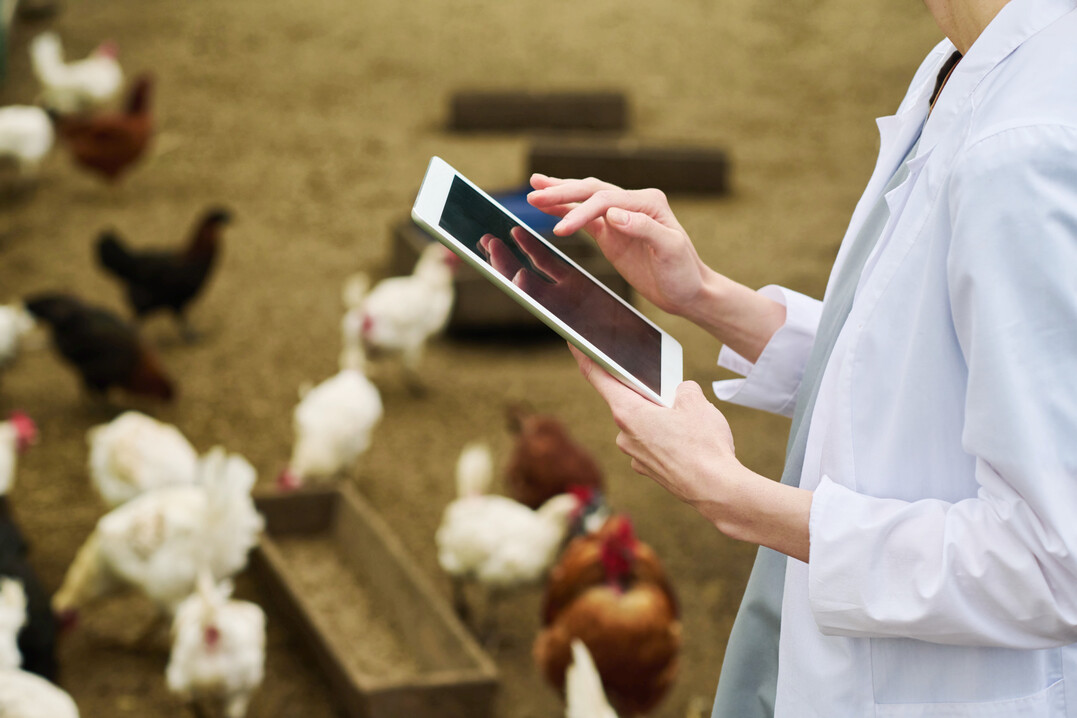eGQS kann nach Anfrage bei der zuständigen Institution einfach und unkompliziert heruntergeladen und auf dem Windows-PC oder dem Tablet installiert werden.