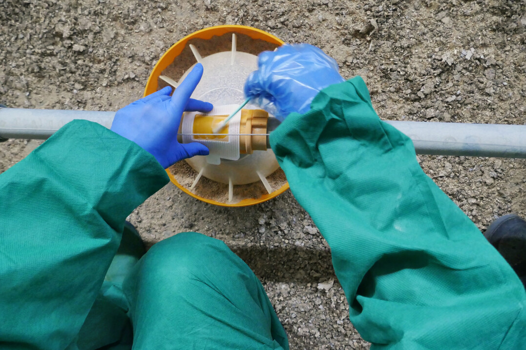 Die Proben zur Ermittlung der Zielpathogene wurden u. a. an den Futterschalen genommen.