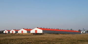 Geflgelfarm in Polen.
