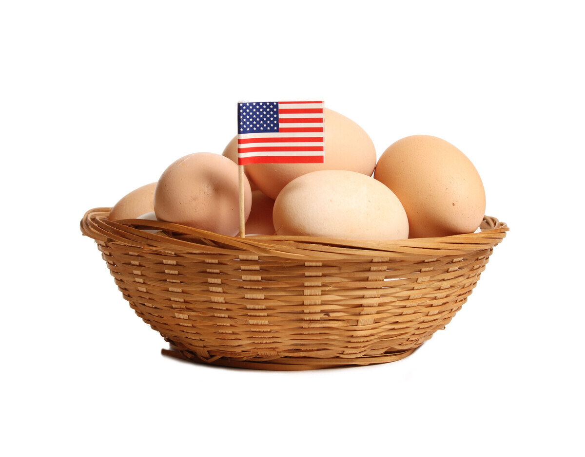 USA-Neuer-Gesetzentwurf-soll-Eierpreise-senken