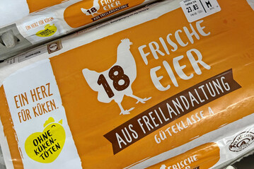 Eier in einem Discounter im Mrz 2025.