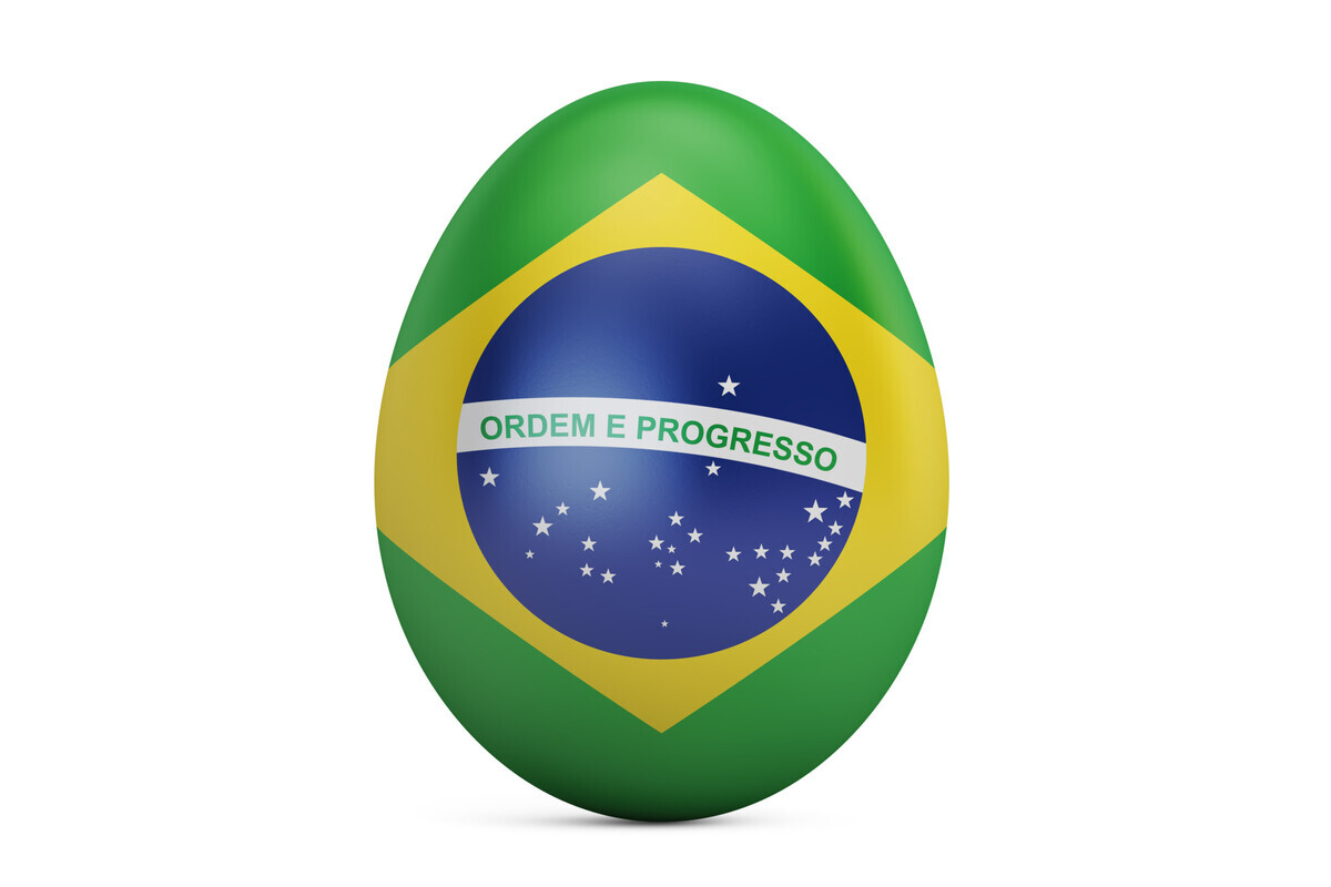 Brasiliens-Eierexport-verdoppelt