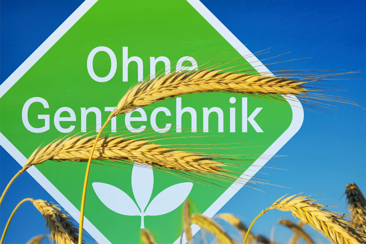 Marktvolumen-fuer-Ohne-Gentechnik-Produkte-bei-17-Milliarden-Euro