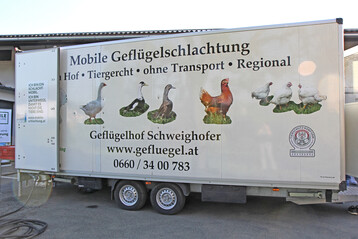 Das neue Frderprogramm richtet ausschlielich an Schlachtunternehmen mit Sitz in Schleswig-Holstein.