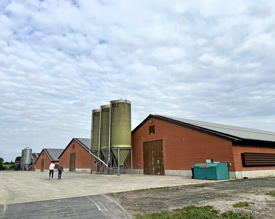 Hähnchenmastställe mit PV-Anlage auf den Dächern.