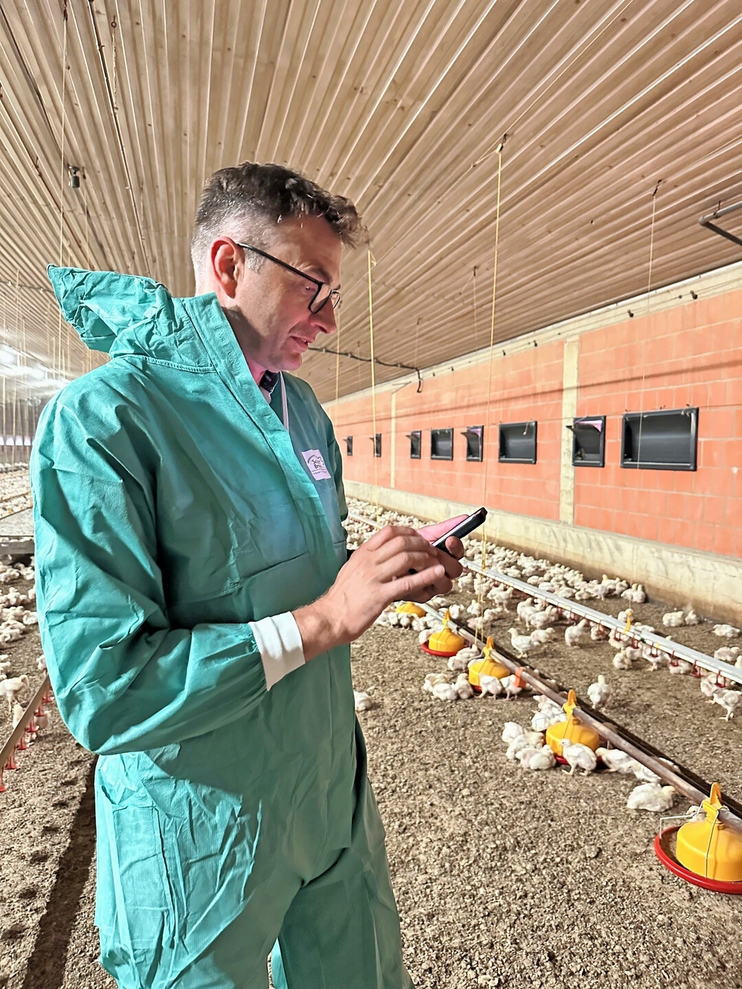 … oder auch mitten im Stall.