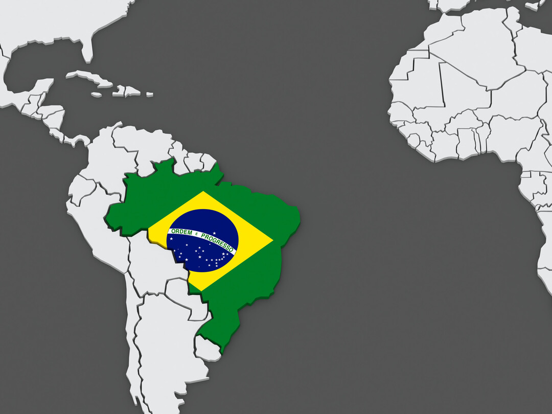 Der Ausbruch der Avire Influenza in einem Nutzgeflgelbestand in Brasilien beeinflusst den weltweiten Handel mit Geflgelfleisch. 