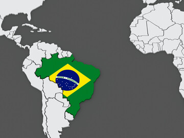 Der Ausbruch der Avire Influenza in einem Nutzgeflgelbestand in Brasilien beeinflusst den weltweiten Handel mit Geflgelfleisch. 