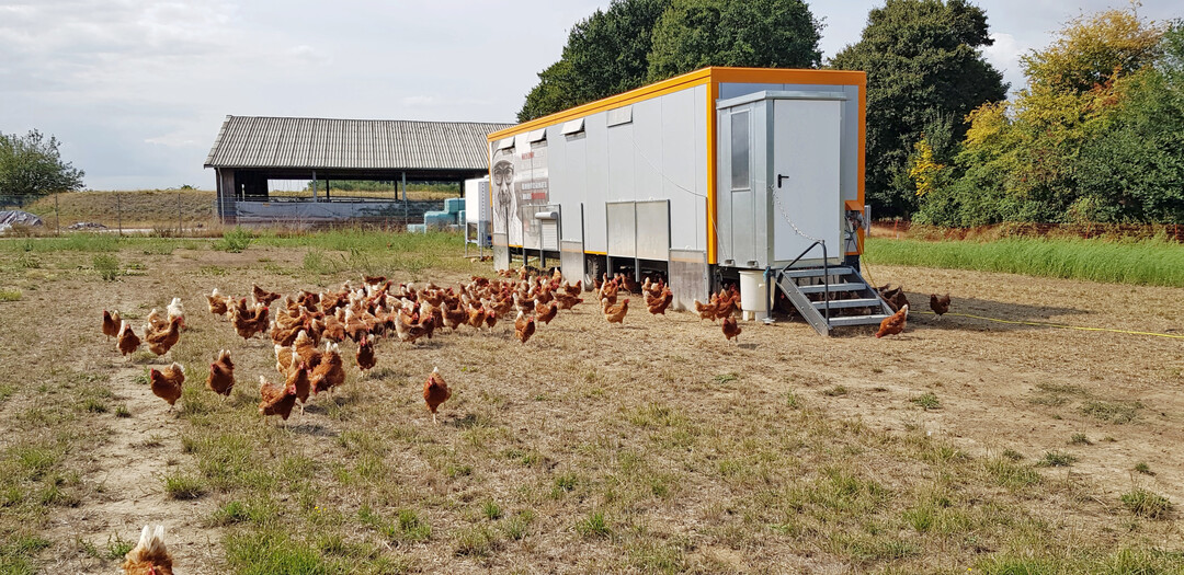 Eine angebaute Hygieneschleuse erschwert es Krankheitserregern, die Hühner im Mobilstall zu infizieren. 
