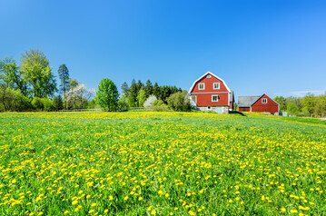 Schwedischer Bauernhof. Die Biolandwirtschaft befindet sich in Schweden im Abwrtstrend.