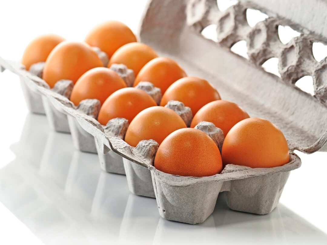 Eiermarkt im Wandel: Die Ukraine ist inzwischen wichtigster Drittlands-Lieferant fr die EU  mit einem Exportanstieg von ber 80 %.