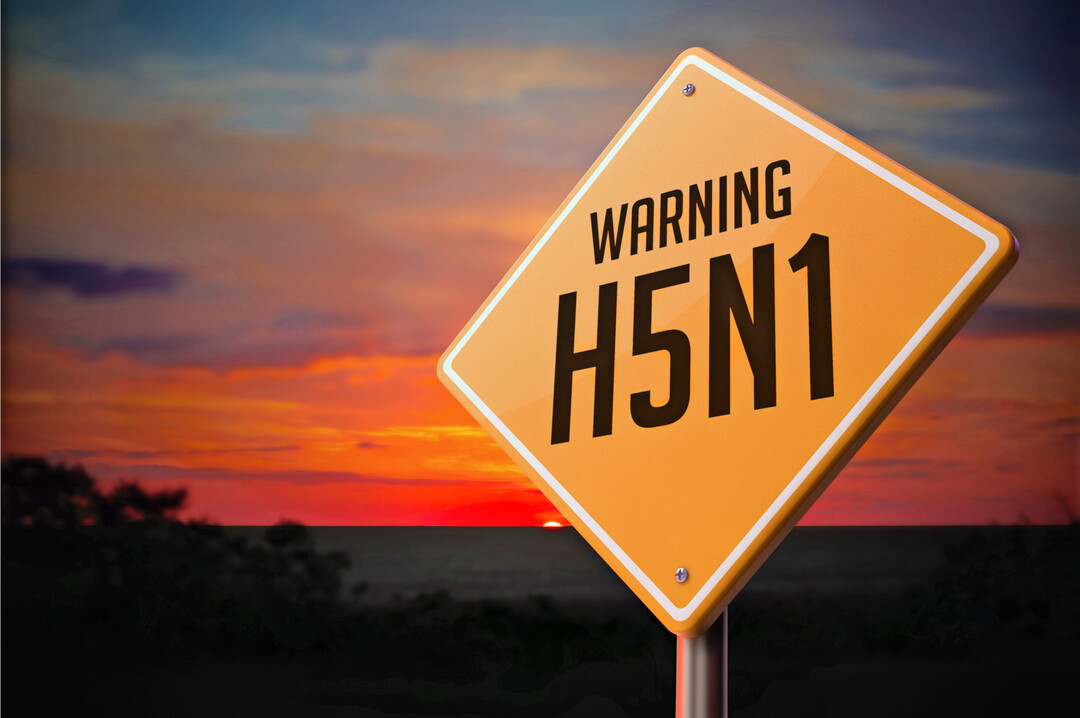 H5N1 wurde in einer Truthahnmast im Sdwesten von Spanien nachgewiesen.