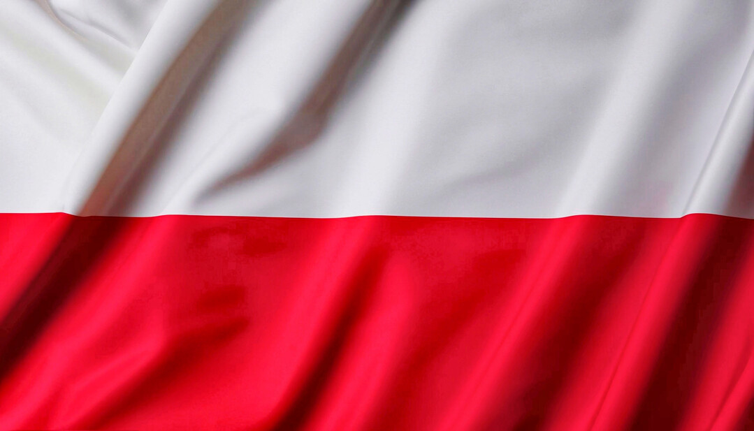 In Polen wurde seit September 2024 bei 50 Herden die Newcastle-Krankheit nachgewiesen. 