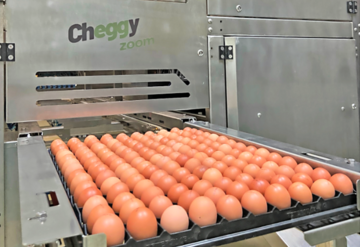 Der brasilianische Bio-Eierproduzent Raiar Orgnicos setzt als erstes Unternehmen der sdlichen Hemisphre auf die Cheggy-Technologie zur Geschlechtsbestimmung im Ei.