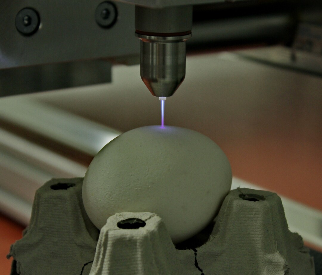 Plasma könnte künftig bei der Schalenkeimreduktion von Eiern helfen.