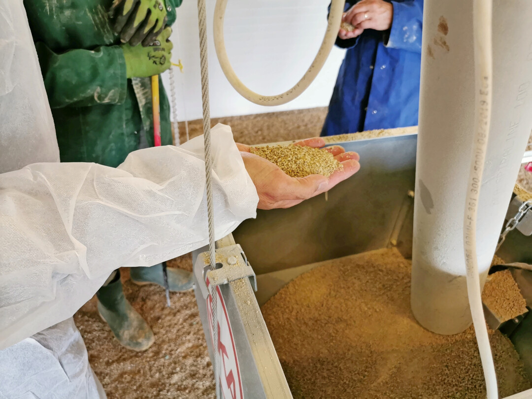 Kontrolle der Futtermittelqualitt  ein wichtiger Schritt fr stabile Leistungen.