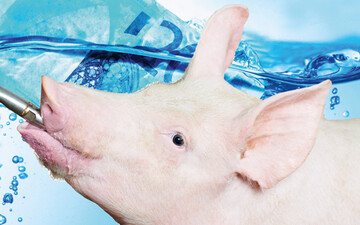  Die Wasserqualitt ist zu Recht immer noch ein bedeutsames Thema. Die richtige Beratung und Kontrolle sind wichtige Erfolgsfaktoren.