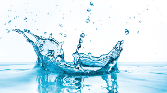 Eine ausreichende Wasseraufnahme mit guter Qualitt des Trnkewassers ist eine Voraussetzung fr die Gesundheit, das Wohlbefinden und ein leistungsfhiges Wachstum der Tiere.    