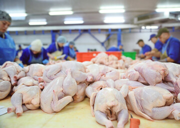 Europische Agrarprodukte sollen vor bermigen Importen geschtzt werden. Darunter fallen unter anderem auch Rind-, Geflgel- und Schweinefleisch.
