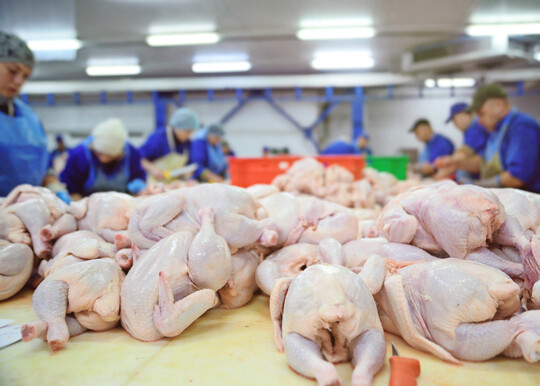 Europische Agrarprodukte sollen vor bermigen Importen geschtzt werden. Darunter fallen unter anderem auch Rind-, Geflgel- und Schweinefleisch.