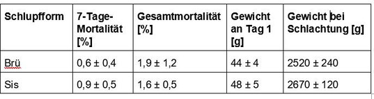 Tabelle 1: Mortalitäten nach 7 Tagen und über die gesamte Mastperiode; Gewichte an Tag 1 und bei der Schlachtung; Mittelwert und Standardabweichung; jeweils sieben Durchgänge pro Schlupfform (Brü: Schlupf in der Brüterei; SiS: Schlupf im Stall)