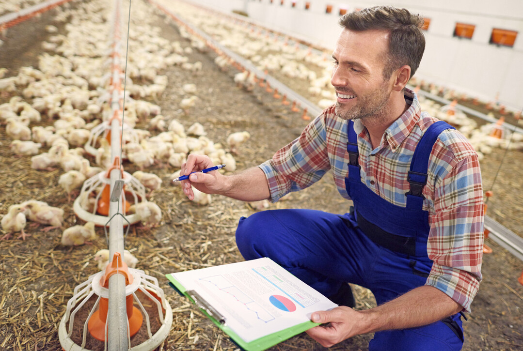 In Frankreich hat man das Umweltbewertungstool CAP"2ER fr den Geflgelsektor angepasst, um dessen Umweltwirkungen zu bewerten.