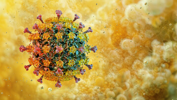 Der Landkreis Cloppenburg informiert, dass in der Gemeinde Garrel erneut ein Ausbruch der Aviren Influenza (HPAI H5N1) besttigt wurde. Betroffen ist ein Mastputenbestand mit rund 7.500 Putenhhnen im Alter von etwa 19 Wochen. 