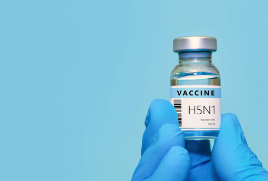 Impfstoffe gegen H5N1 existieren und sollten laut BfT zentraler Baustein zum Schutz sein. Die weite Verbreitung des Virus in Wildvogelpopulationen zeige, dass reine Biosicherheitsmanahmen keinen ausreichenden Schutz mehr bieten. 