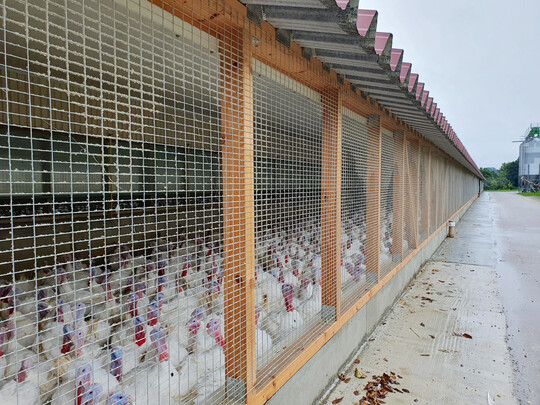 Der Jalousienstall sorgt für Klimareize und Frischluft. Der Wintergarten wird von den Putenhähnen, besonders wenn die Sonne scheint, gern aufgesucht.