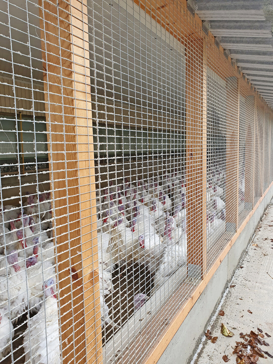 Auch an kühleren Tagen sind die Wintergärten gut besucht.