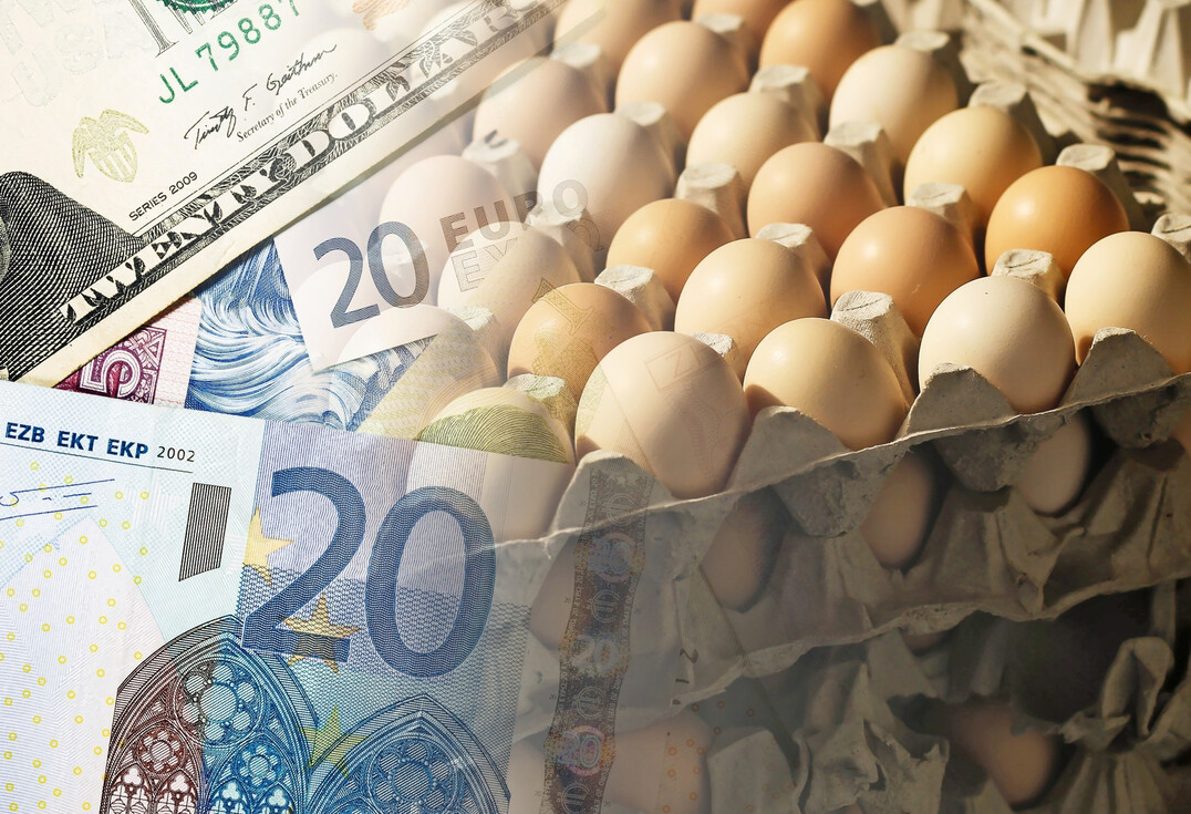 Die Geflügelbranche ist in Sorge vor einer weiteren Verschärfung der Geflügelpest.