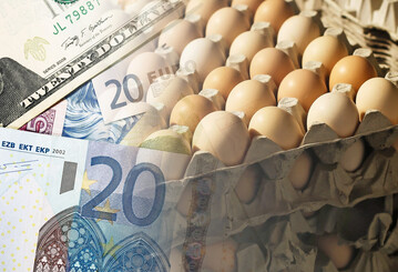 Die Geflgelbranche ist in Sorge vor einer weiteren Verschrfung der Geflgelpest. 