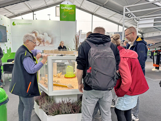 MeLa 2025 mit der GWV-Vorsitzenden Marion Dorn (l.): Auf der Mecklenburger Landwirtschaftsausstelung tut der GWV jedes Jahr viel für die Öffentlichkeitsarbeit.