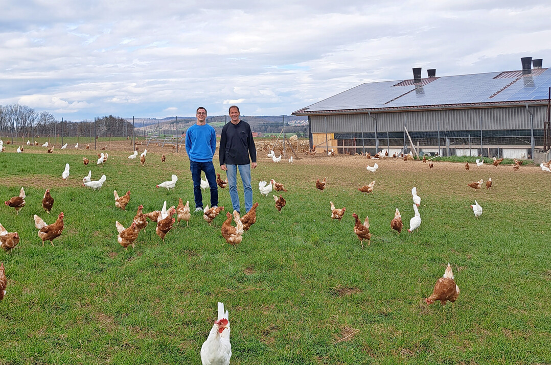 Zwischen Tausenden Hennen behalten Simon und Peter Schnitzler den �berblick. Auf dem Hof �Erdreich� verbinden sie moderne Haltungssysteme mit handwerklicher Verantwortung.