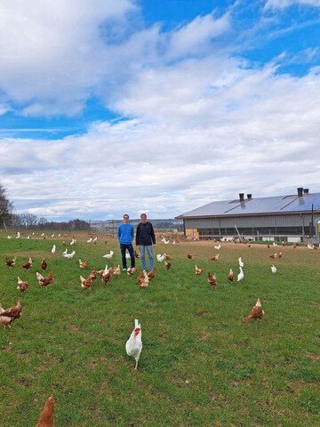 Zwischen Tausenden Hennen behalten Simon und Peter Schnitzler den Überblick. Auf dem Hof „Erdreich“ verbinden sie moderne Haltungssysteme mit handwerklicher Verantwortung.
