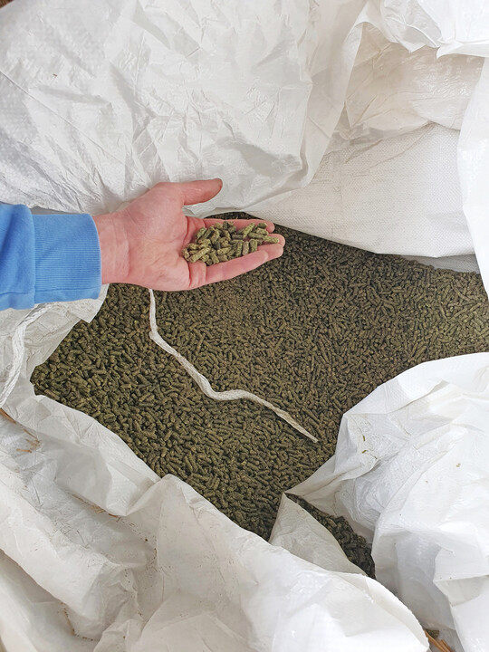 Nur Luzernepellets werden zugekauft, die vor allem den Rohfaseranteil im Futter erh�hen und die Dotterfarbe positiv beeinflussen.