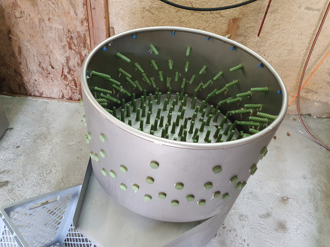 Die Rupfmaschine f�r Masth�hnchen.