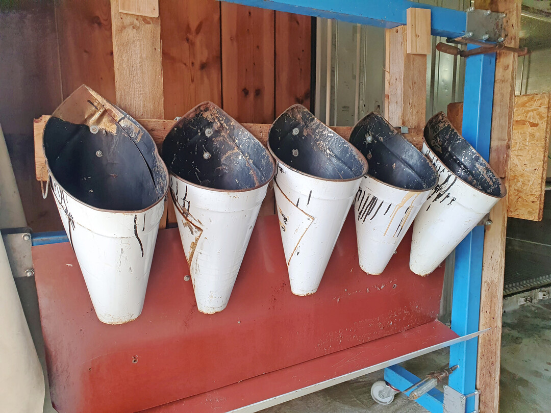 In die Trichter kommt das bet�ubte Gefl�gel zum Ausbluten. 