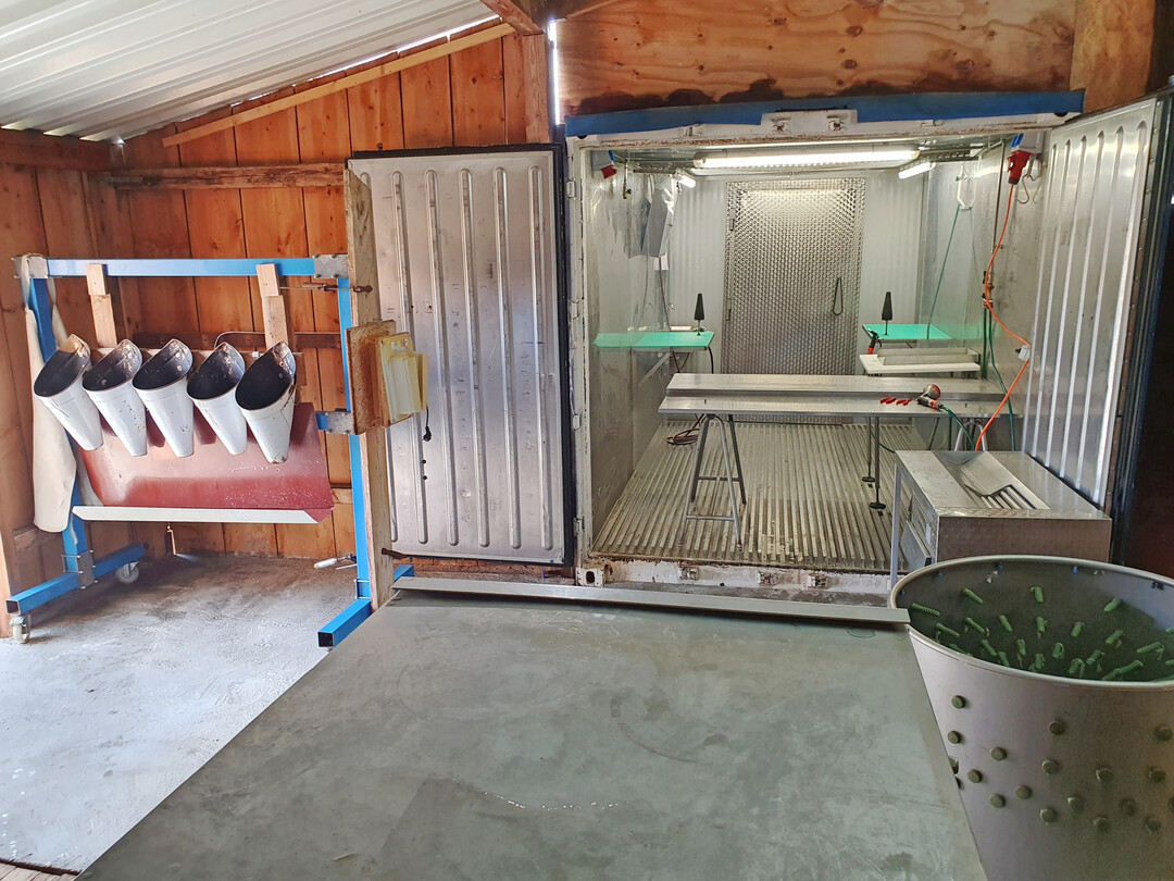 Der Schlachtraum auf dem Hof Erdreich mit Zugang zum Wei�raum sowie dem angeschlossenen K�hlraum. 