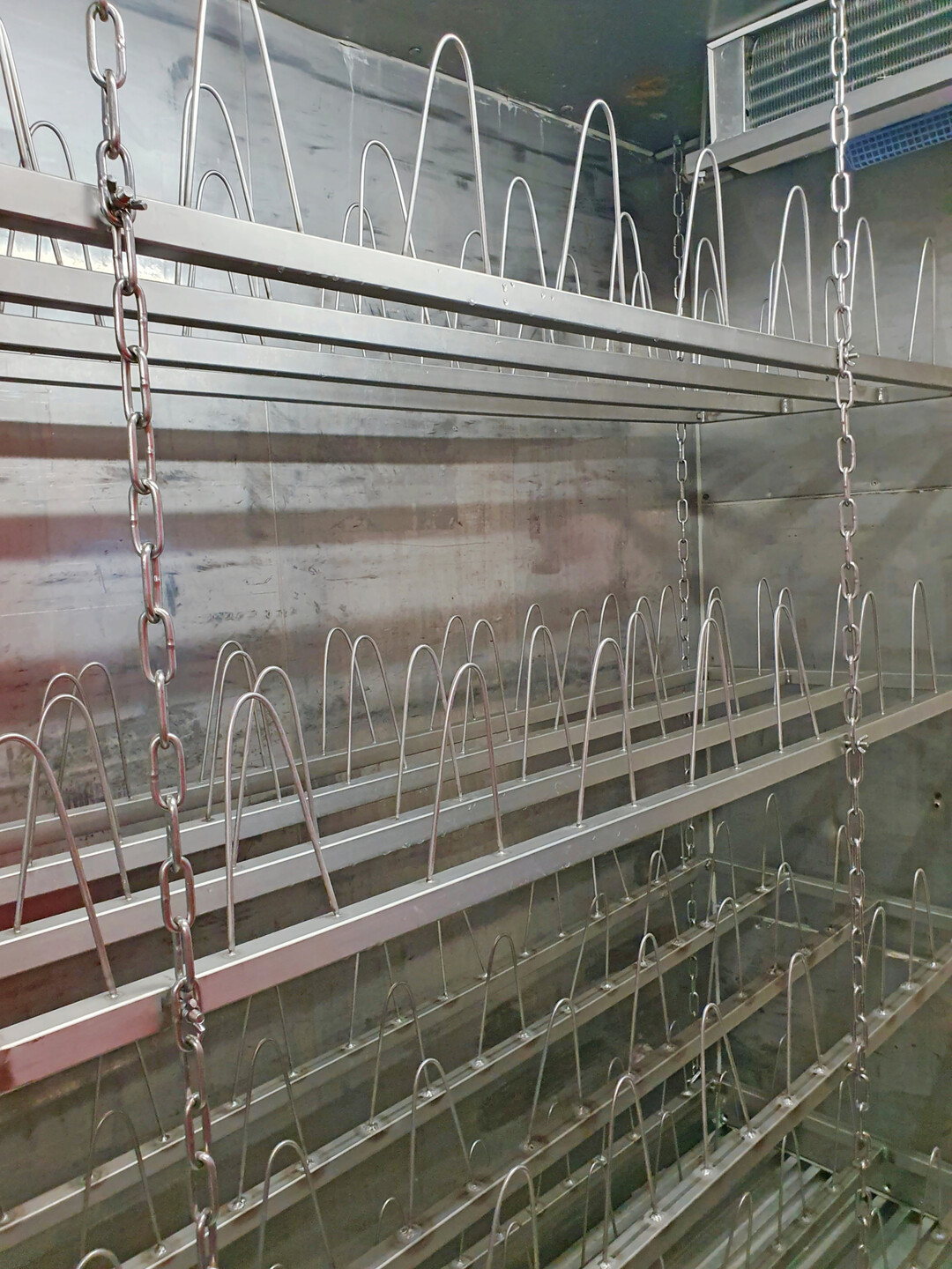 Im K�hlraum wird der Schlachtk�rper vor der Zerlegung heruntergek�hlt. 