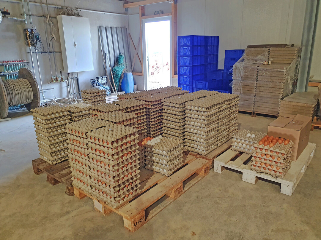 Die Eier werden im umliegenden Einzelhandel, der Gastronomie und im Hofladen vermarktet. 