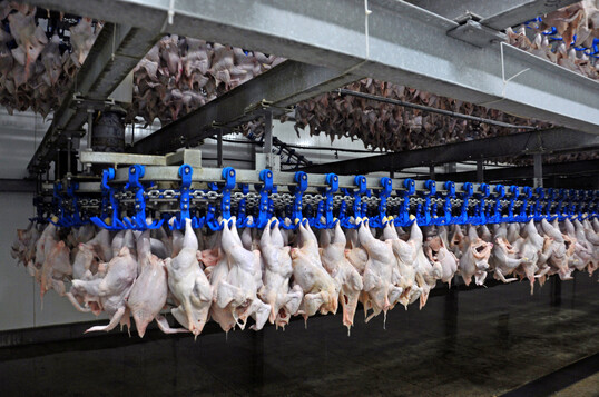 Betrachtet man die längerfristige Entwicklung, getrennt nach Fleischarten und Zeitabschnitten, zeigen sich bemerkenswerte Veränderungen in der Weltfleischerzeugung.