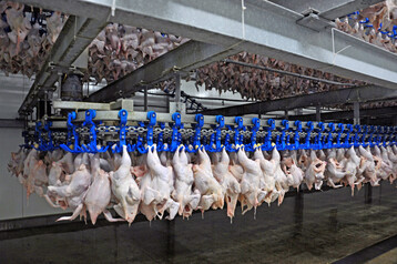 Betrachtet man die lngerfristige Entwicklung, getrennt nach Fleischarten und Zeitabschnitten, zeigen sich bemerkenswerte Vernderungen in der Weltfleischerzeugung.